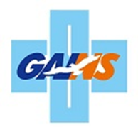 Gains Investment Corporation